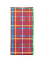 "Summer Picnic" Red Plaid Correlate Napkin design